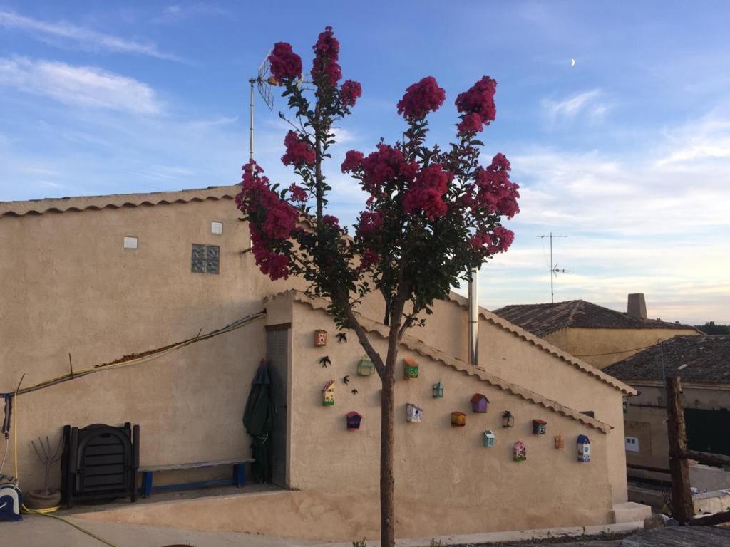 Casa Rural La Charolesa Aguilera ภายนอก รูปภาพ